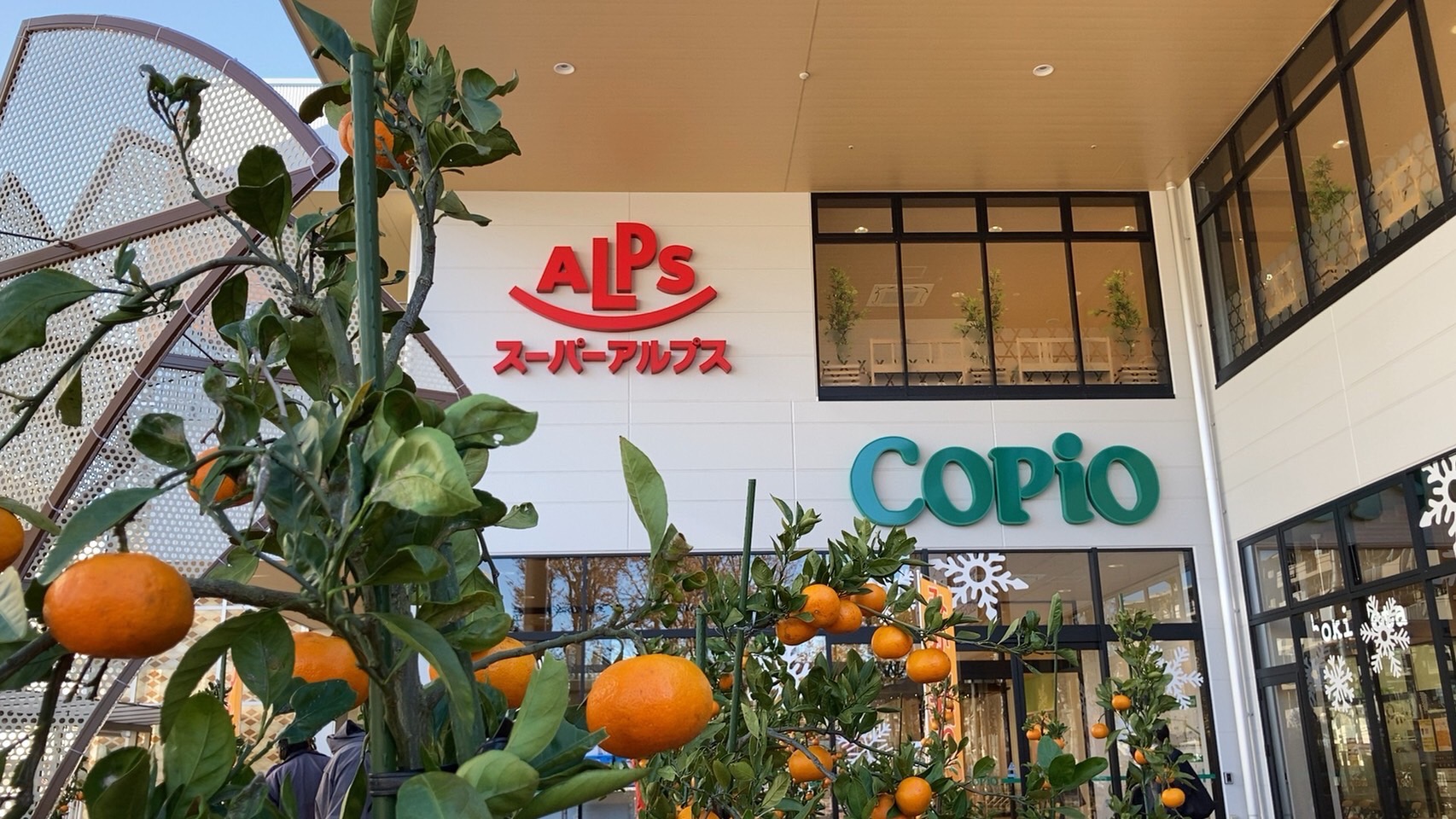 長房店で「いどう果樹園」みかん狩りを開催しました！
